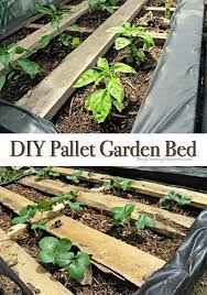 how to make raised wood pallet garden bed