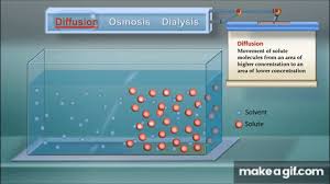 Simply upload an image, pick an animation style, tweak the parameters, and download either a gif or a webm. Diffusion Osmosis And Dialysis Iqog Csic On Make A Gif