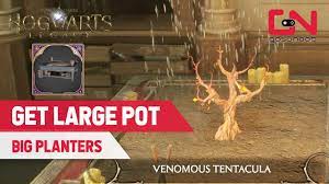 large pots in hogwarts legacy