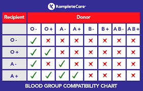 blood group compatibility chart for