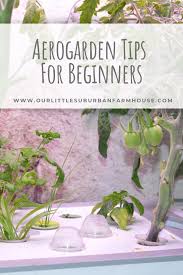 aerogarden tips for beginners our