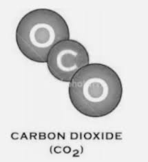 chemical reactivity of carbon dioxide