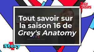 Grey's Anatomy : que s'est-il passé dans la saison 16 avant l'interruption  sur TF1 ?
