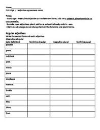 French Adjective Agreement Notes Worksheet French