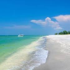 It is a good place to pick up souvenirs and shells a really lovely shell shop on sanibel island, fl with a great selection of sea shells for sale. The 10 Best Sanibel Island Hotels Where To Stay On Sanibel Island Usa