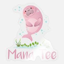 sweet manatee manatee manatee dugong