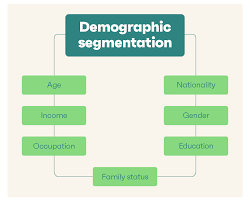 demographic segmentation definition