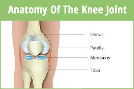 meniscus tear with surgery