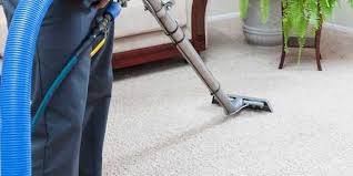 carpet cleaning donald duct steam