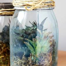 Faux Terrarium With Vintage Style In