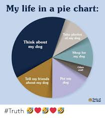 My Life In A Pie Chart Take Photos Of My Dog Think About My