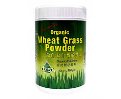 wheat gr powder 100g