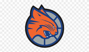 The logo represents several characteristics of actual hornets, including their swarming and the nba's operating standards do not allow teams to adopt old logos as an everyday identity. Charlotte Bobcats Alt Logo Hd Png Download 500x666 3864787 Pngfind