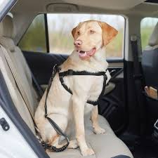 Frisco Adjustable Dog Seatbelt Tether