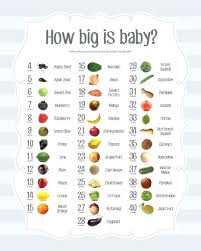 Belly Size During Pregnancy Chart Pregnancy Baby Size Chart