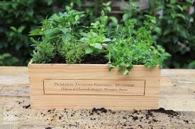 make a wine box herb garden fit for a