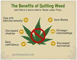 What quitting marijuana after 30 years does to your brain. How To S Wiki 88 How To Quit Smoking Weed Reddit