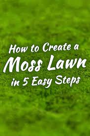 How To Create A Moss Lawn In 5 Easy
