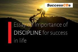 essay on importance of discipline