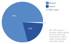 Atmosphere Air Composition Percentage Pie Chart Pie Chart