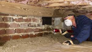 Crawl Space Maintenance