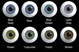 Real Eye Color Chart With Names Bedowntowndaytona Com