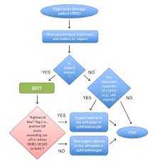 decision tree chart diagram showing