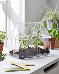 Mini Greenhouse Grow Kit J D Williams