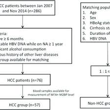 Flow Chart Of Disposition Of Patients Abbreviations Hcc