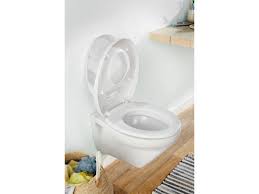 Toilet Seat With Integrated Child Seat