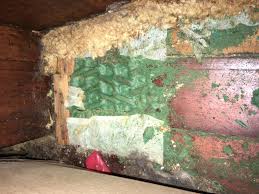 carpet padding guide to asbestos mold
