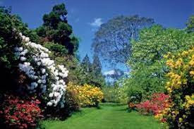 visit avoca mount usher gardens with