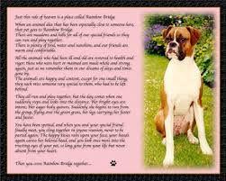 Rainbow bridge printable poems include the well known rainbow bridge poem, personalized for your pet. Rainbow Bridge Poem For Rosie The Boxer Dog Mike Park Flickr
