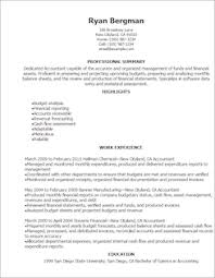 Professional Resume Template         Free Samples  Examples  Format     Dayjob