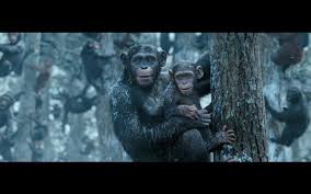 It's the perfect conclusion to the planet of the apes reboot trilogy, which should be remembered as one of cinema's best trilogies. War For The Planet Of The Apes 2017 Planet Of The Apes Plant Of The Apes Apes