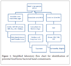 Contamination Of Bacteria And Associated Factors Among Food