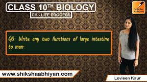 two functions of large intestine