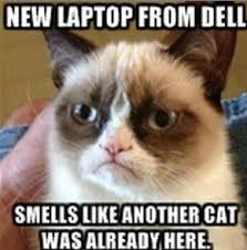 computers that smell like cat urine