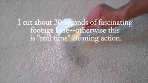 cleaning latex paint off carpet you
