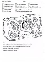 Key label the animal cell drawn below and then give. Labeled Animal Cell Coloring Worksheet Printable Worksheets And Activities For Teachers Parents Tutors And Homeschool Families