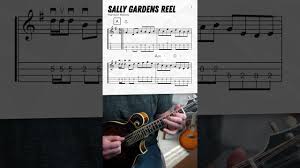 sally gardens reel mandolin lesson