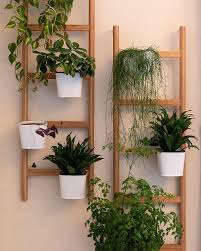 35 Indoor Plant Wall Decor Ideas That