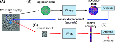 Visual Search As Active Inference