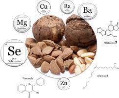 brazil nuts nutritional composition