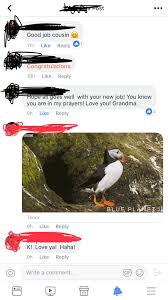 If you'd like to create your advert from a blank canvas, the first task is to select the format you'd like to use for your advert. I Started A New Job Last Week And I Changed My Job Status Thing On Facebook Last Night The Red Mark Out Is My Grandmother She Posts A Weird Penguin Gif And