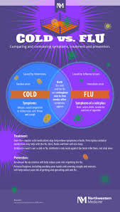 This means comparing the numbers isn't as straightforward as we would like. What S The Difference Between Cold And Flu Infographic Northwestern Medicine