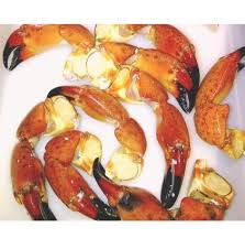 Most crab claws are fully cooked and sold frozen. Stone Crab Claws Browne Trading Species Definition