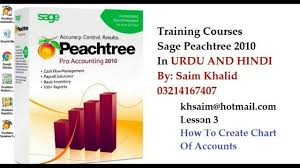 Lesson 3 How To Create Chart Of Accounts In Sage Peachtee