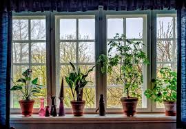 mary keen the secrets of windowsill