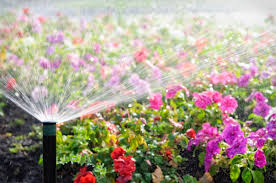 Garden Irrigation Maintenance Tips